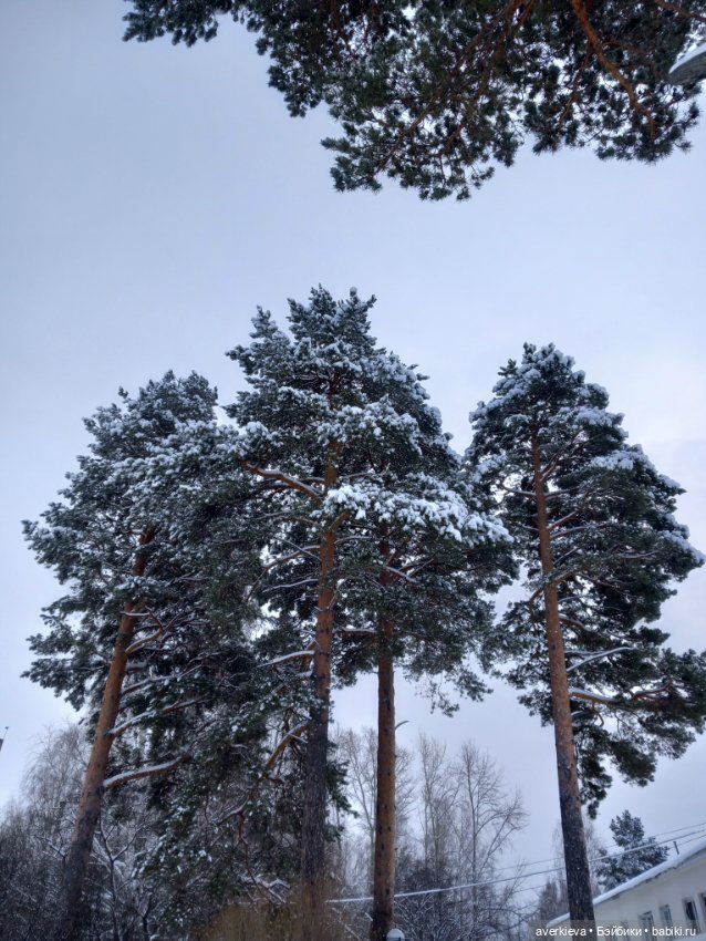 Мы реабилитировались — Игровые куклы разных производителей (Разное): редкие бренды