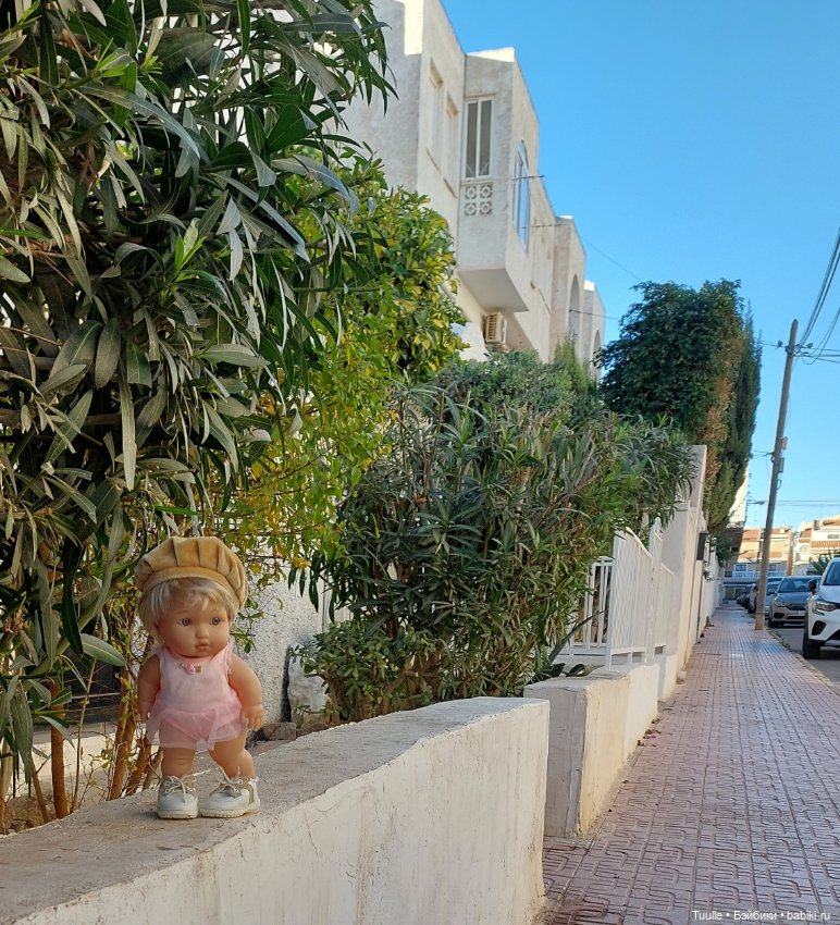 Из Испании в Америку и обратно (фото 3)