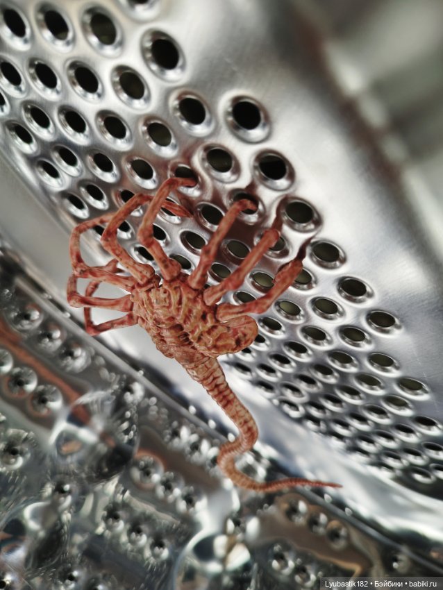 Денискины забавы — Коллекционные экшн (фото 10)