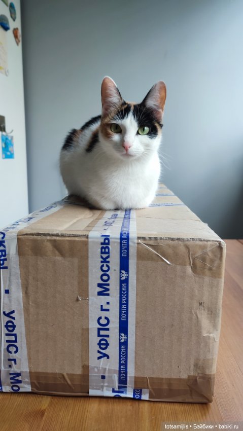 Migidoll Ell распаковка — Авторские куклы BJD (БЖД) у нас дома: фото