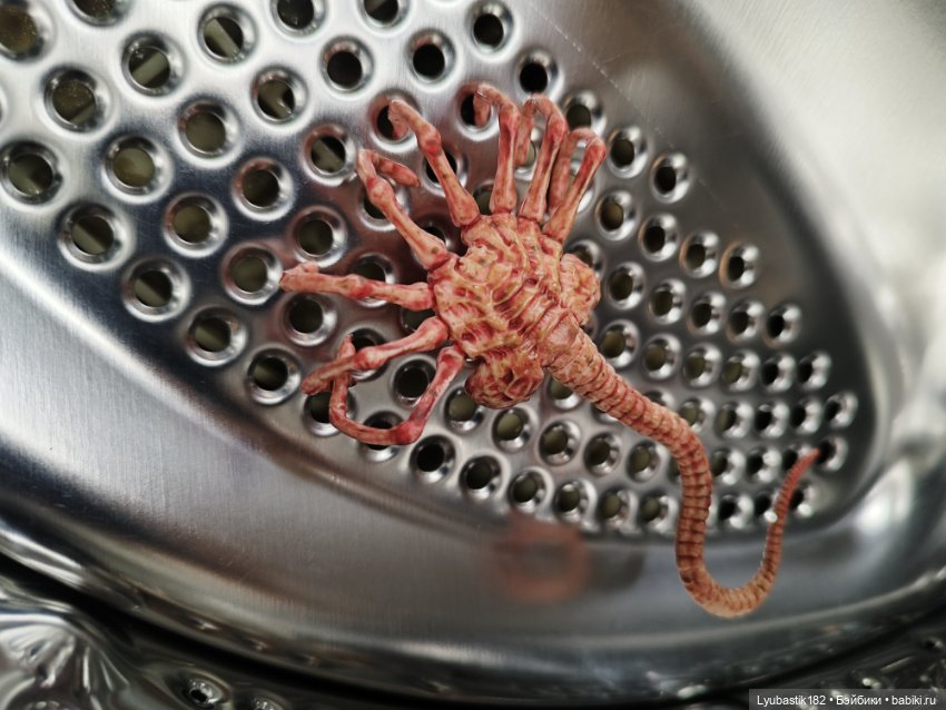 Денискины забавы — Коллекционные экшн (фото 9)