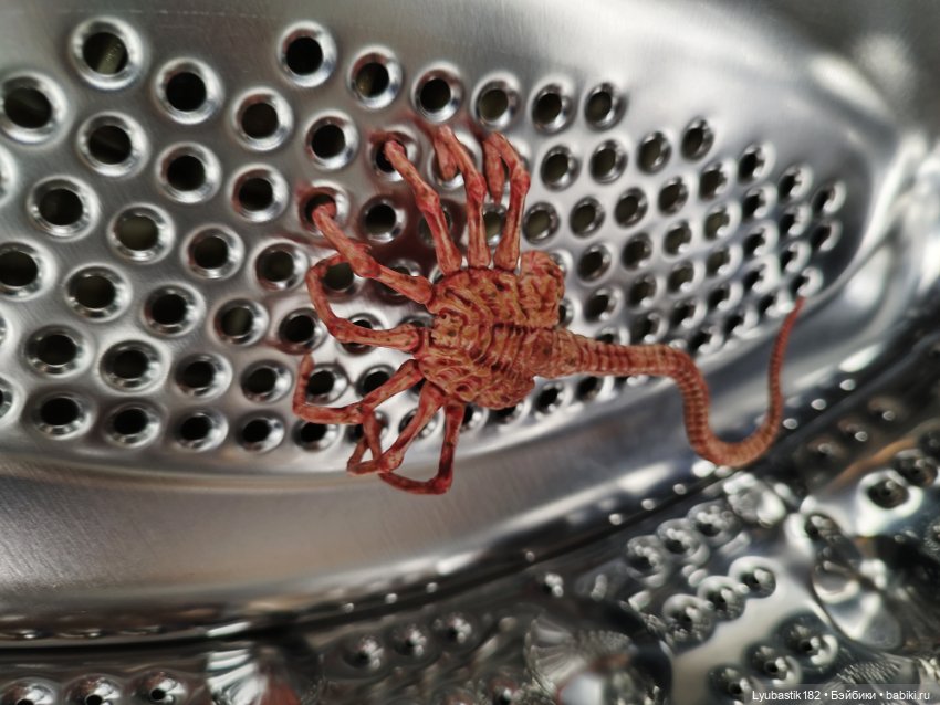 Денискины забавы — Коллекционные экшн