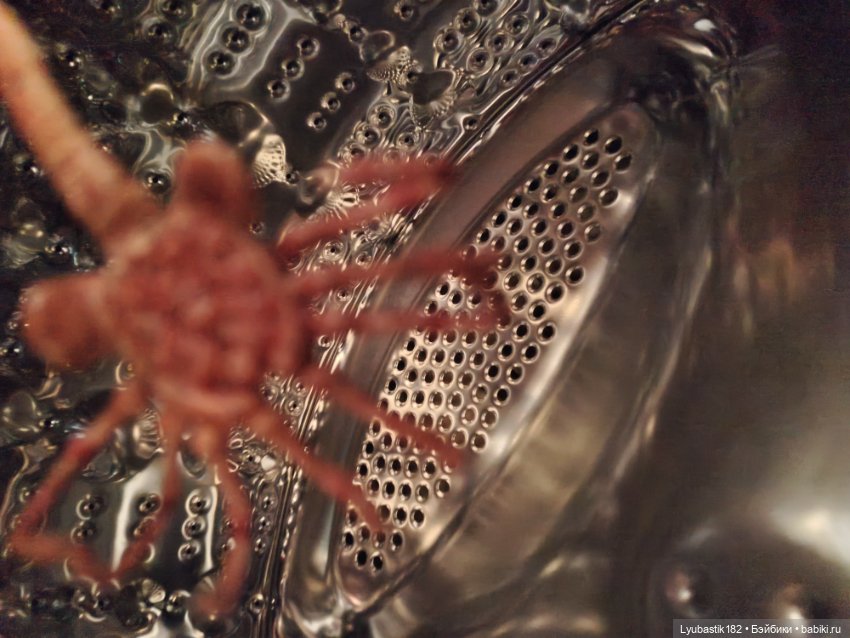 Денискины забавы — Коллекционные экшн