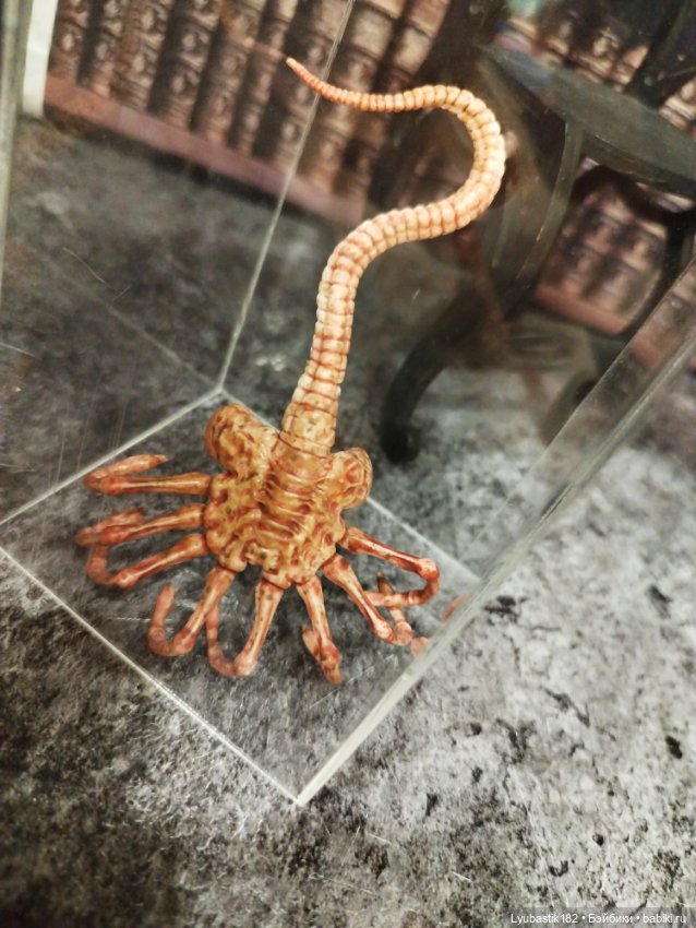 Денискины забавы — Коллекционные экшн