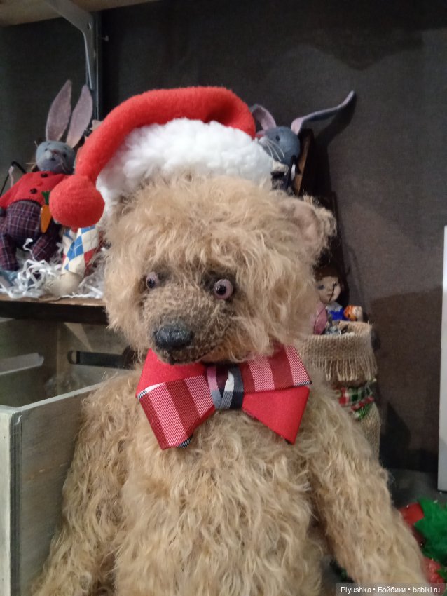 Hello Teddy 2023 моими глазами - МЕДВЕДИ (фото 8)