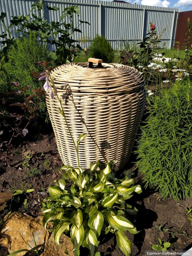 Ещё одно увлечение — Другие хобби и увлечения: сад (фото 9)