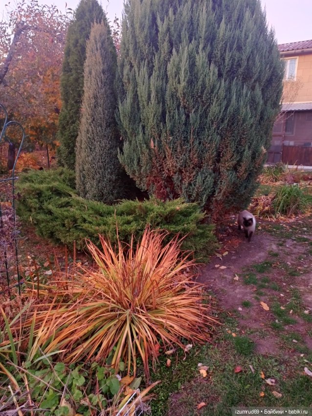 Осень в саду и в пойме 2023