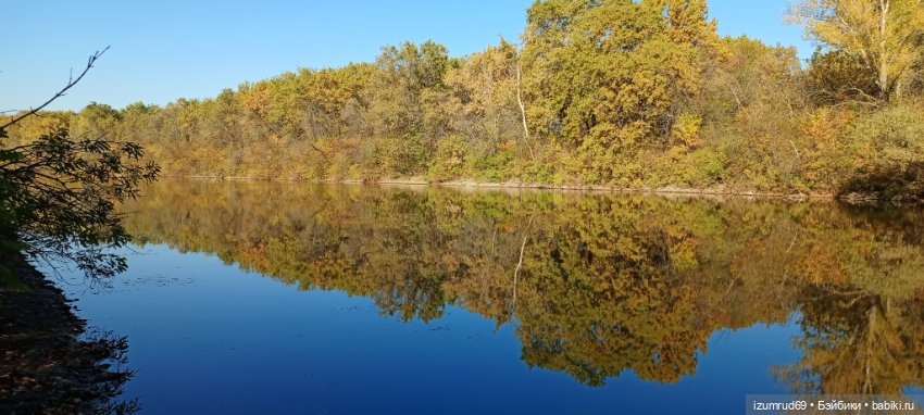 Осень в саду и в пойме 2023