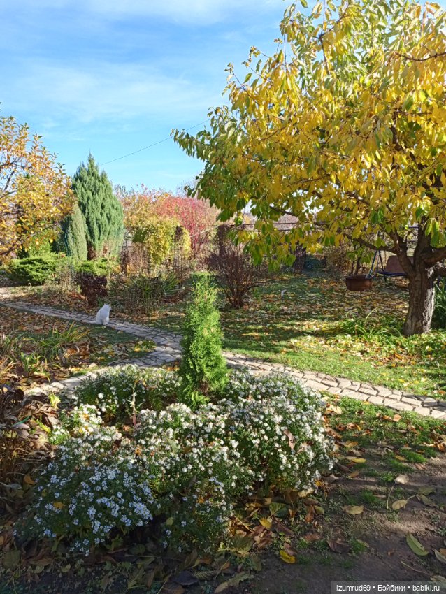 Осень в саду и в пойме 2023