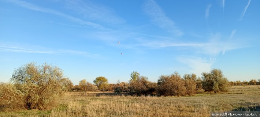 Осень в саду и в пойме 2023