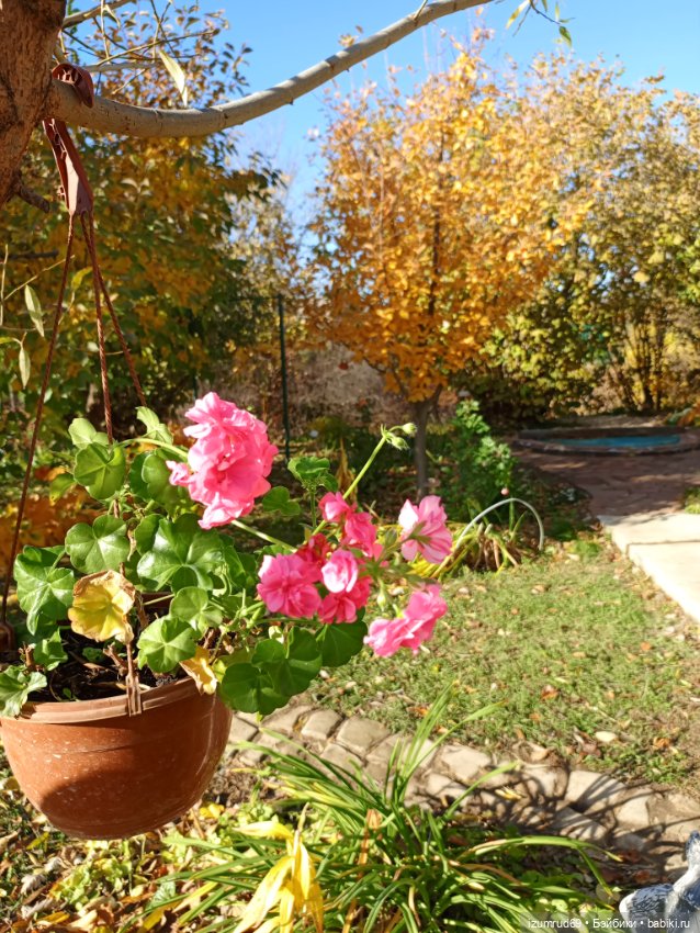 Осень в саду и в пойме 2023