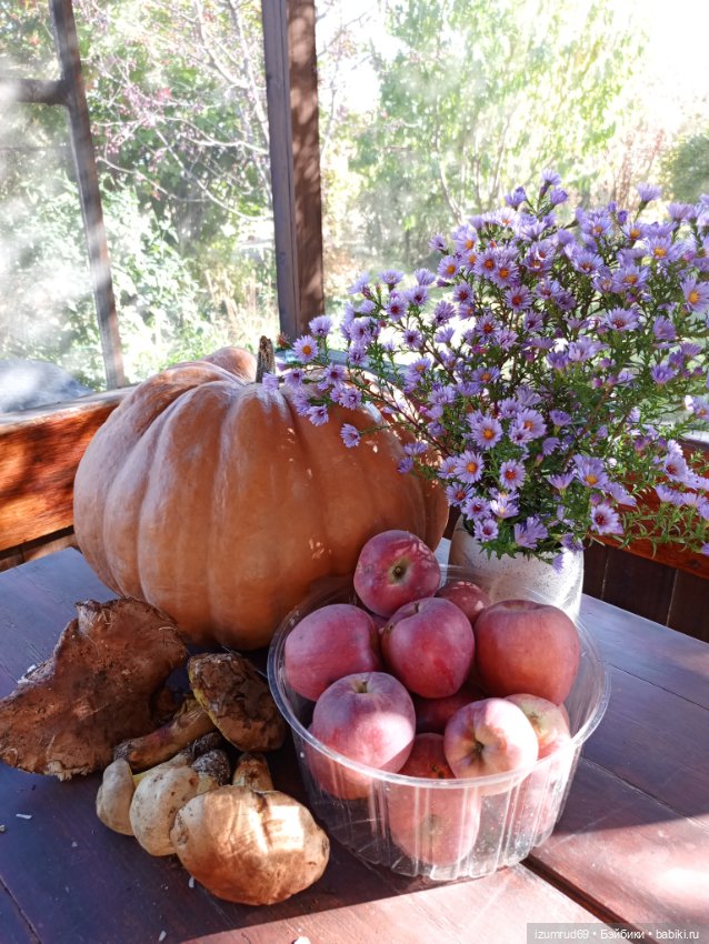 Осень в саду и в пойме 2023 (фото 10)