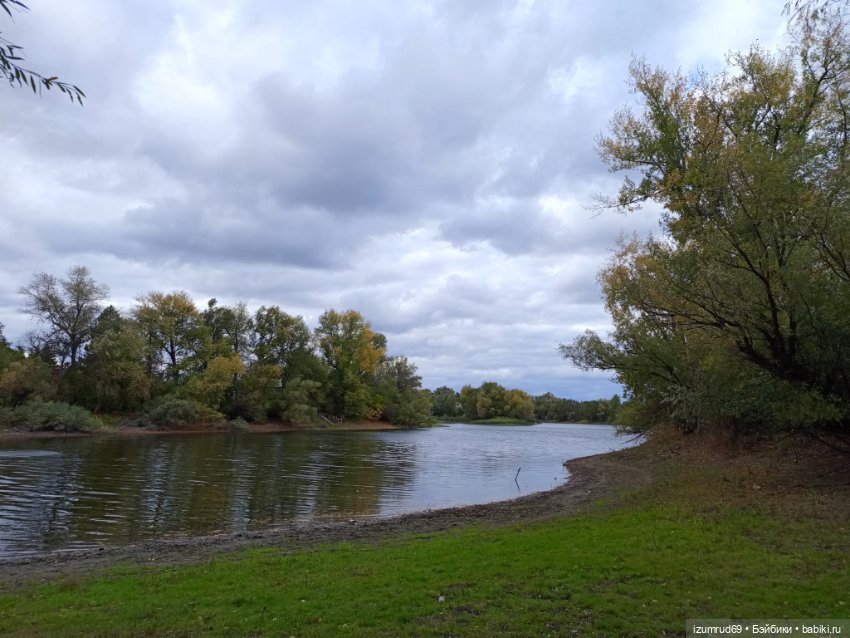 Осень в саду и в пойме 2023 (фото 9)