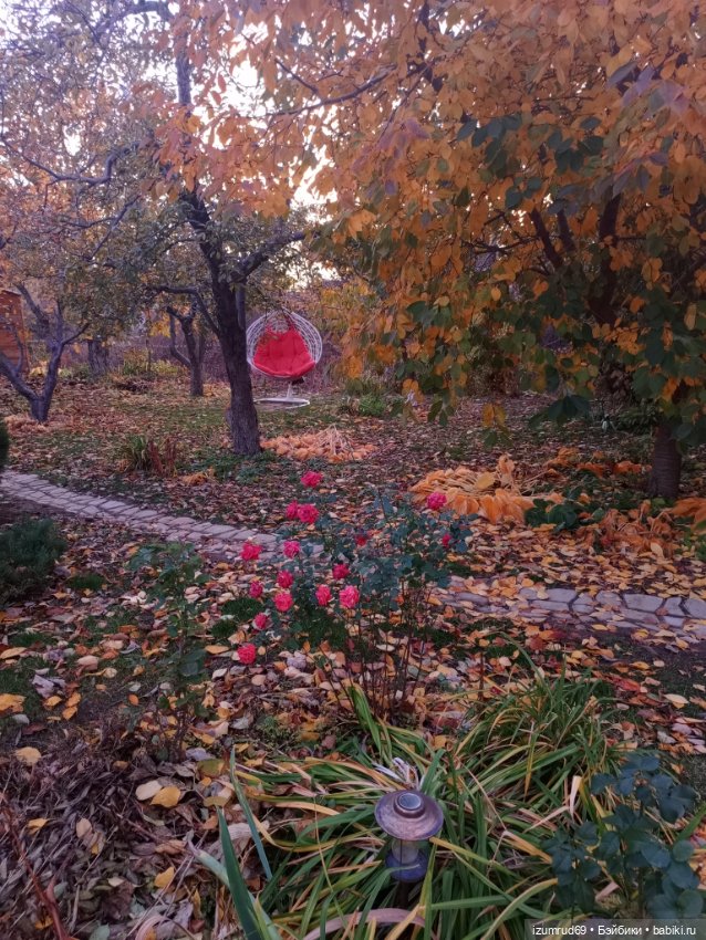 Осень в саду и в пойме 2023