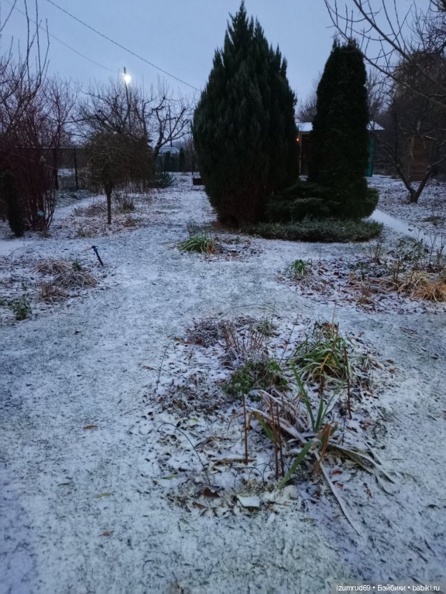 Осень в саду и в пойме 2023