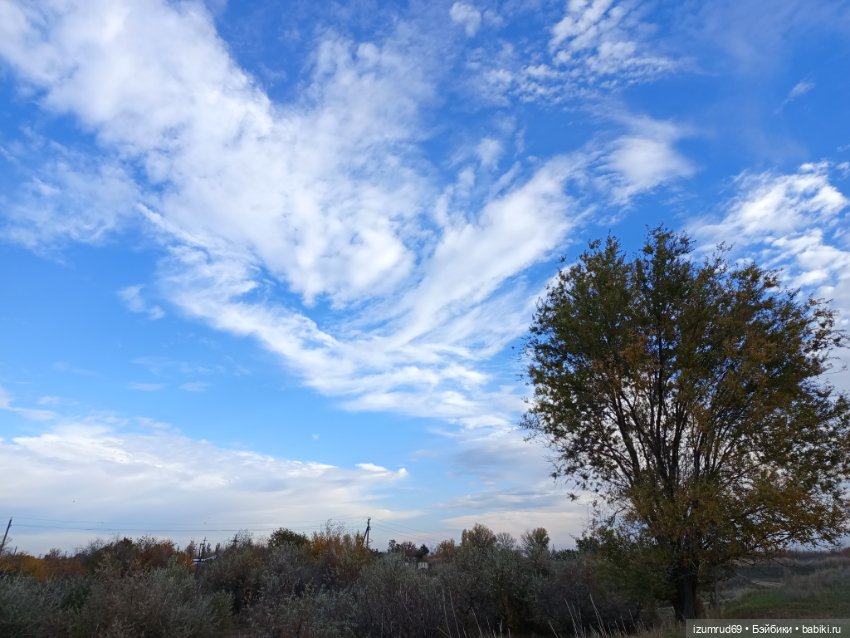 Осень в саду и в пойме 2023