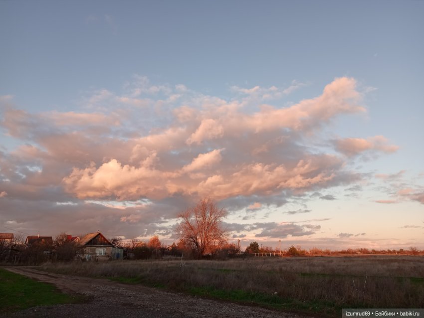 Осень в саду и в пойме 2023