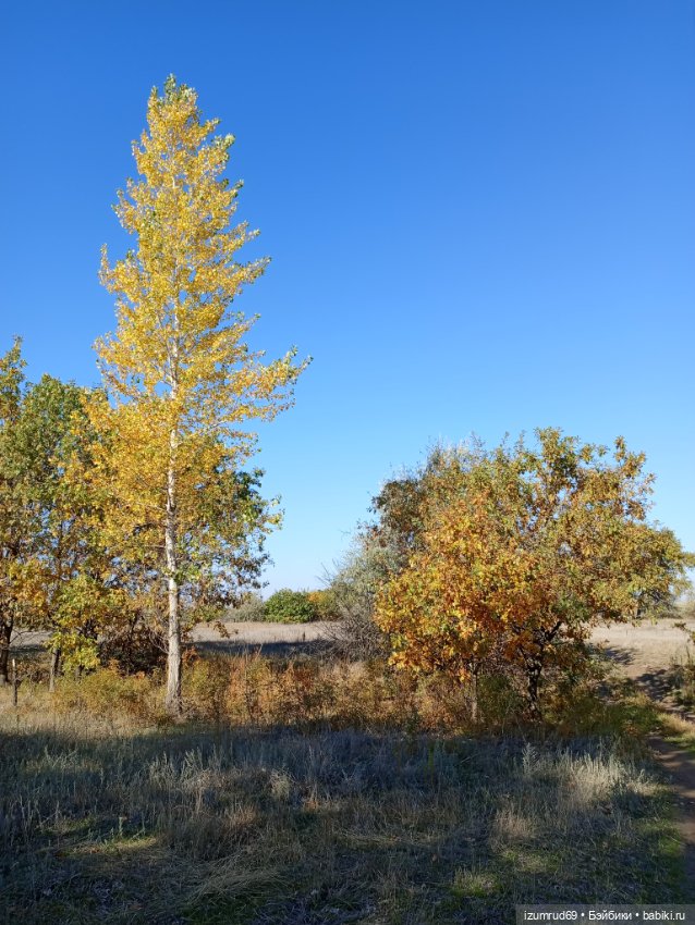 Осень в саду и в пойме 2023