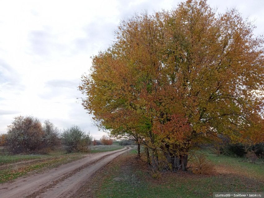 Осень в саду и в пойме 2023