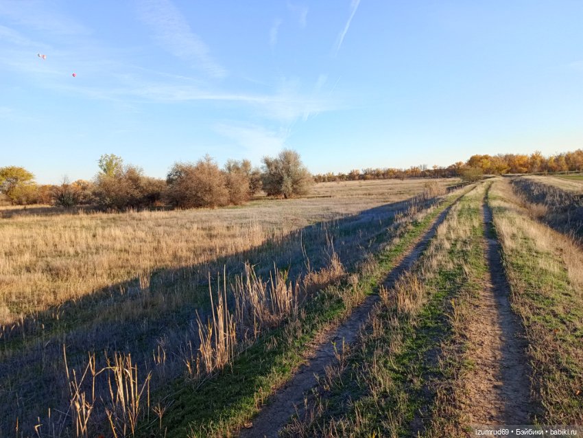 Осень в саду и в пойме 2023