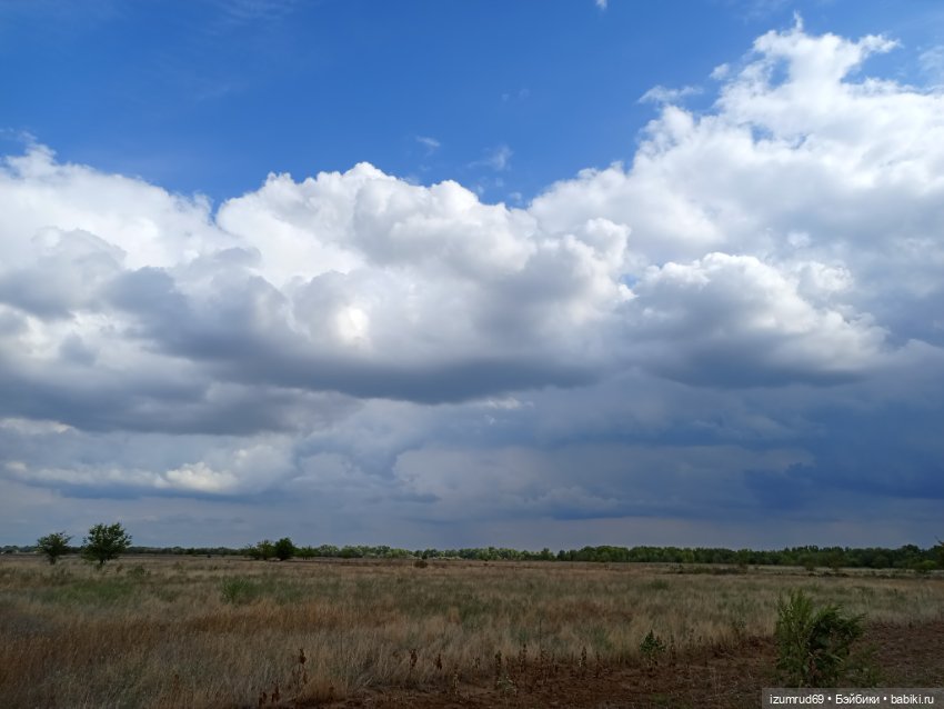 Осень в саду и в пойме 2023 (фото 4)
