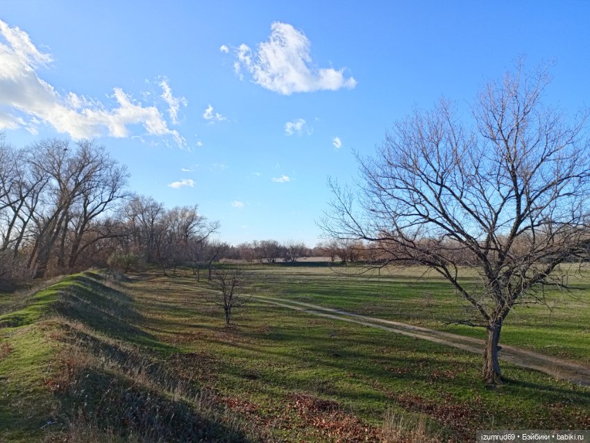 Осень в саду и в пойме 2023