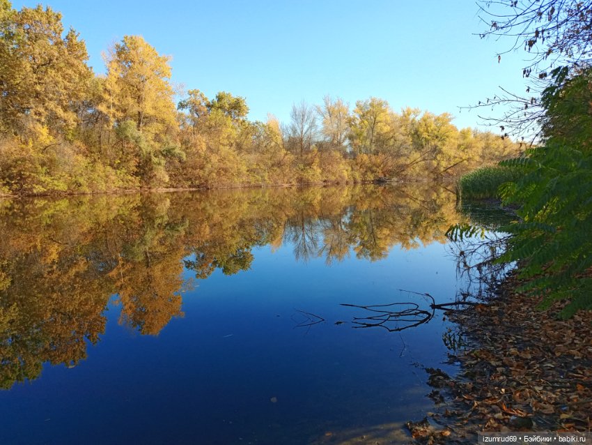 Осень в саду и в пойме 2023