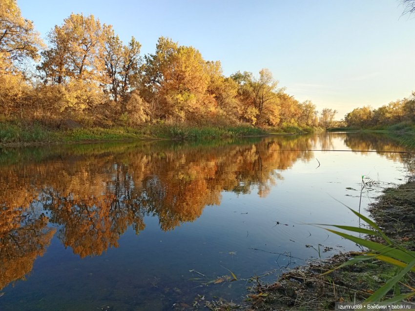 Осень в саду и в пойме 2023