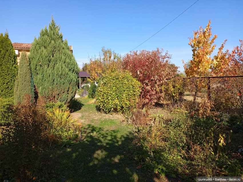 Осень в саду и в пойме 2023