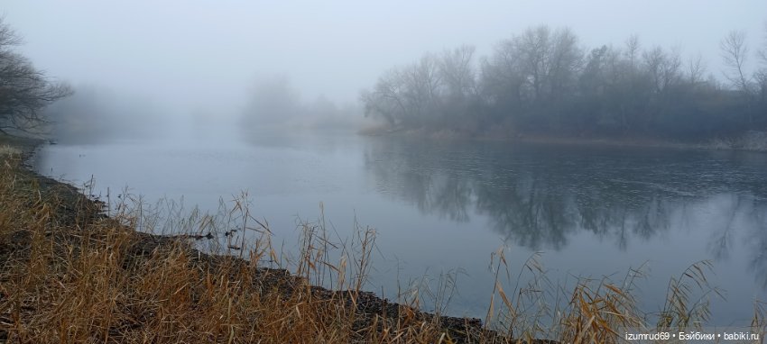 Осень в саду и в пойме 2023