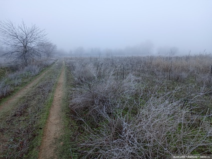 Осень в саду и в пойме 2023