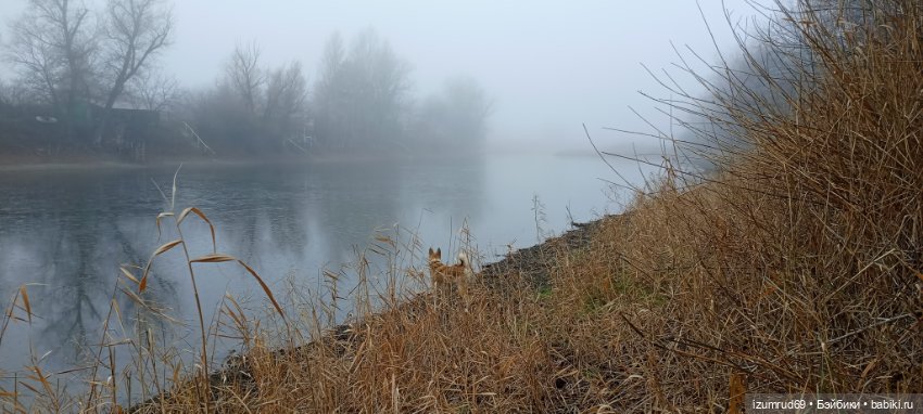 Осень в саду и в пойме 2023