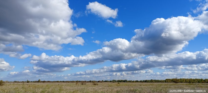 Осень в саду и в пойме 2023 (фото 8)