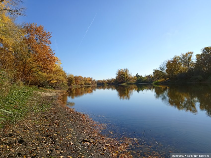 Осень в саду и в пойме 2023