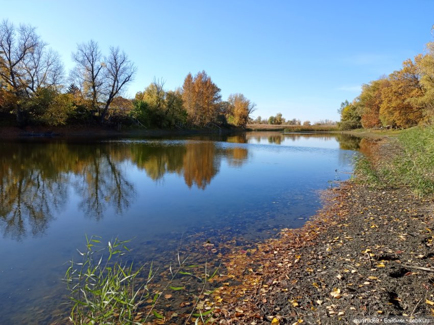 Осень в саду и в пойме 2023