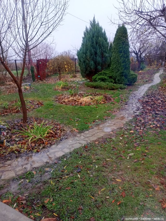 Осень в саду и в пойме 2023