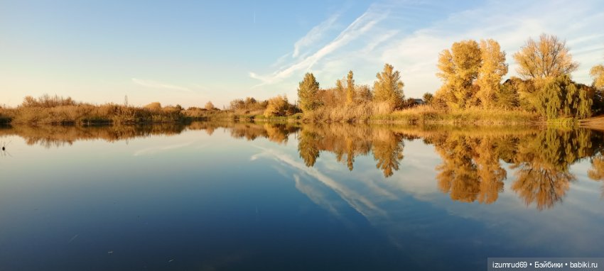 Осень в саду и в пойме 2023