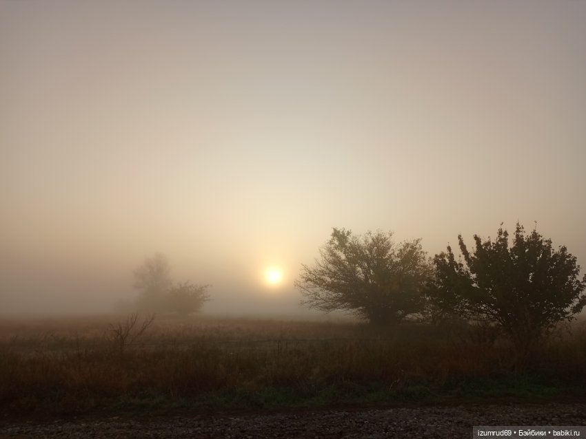 Осень в саду и в пойме 2023