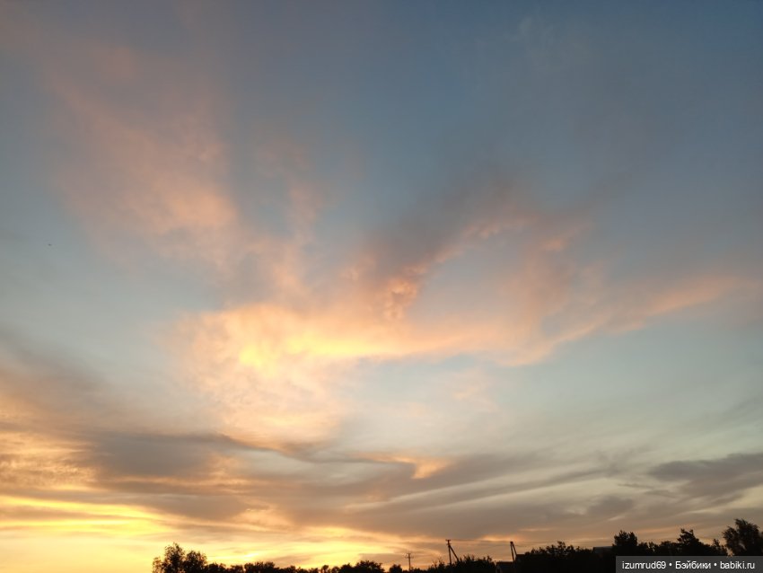 Осень в саду и в пойме 2023 (фото 3)