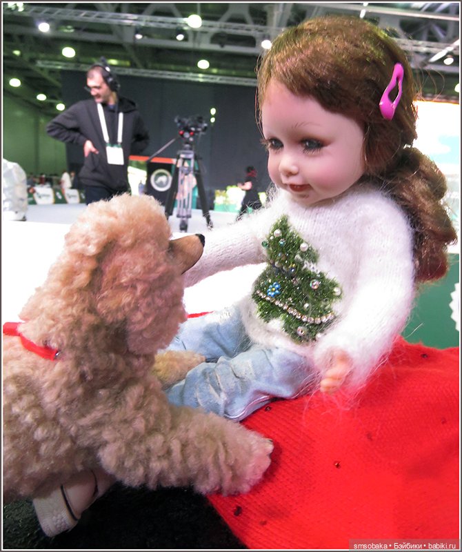 Мой Юбилей 12 лет! Выставка собак "Евразия 2023"