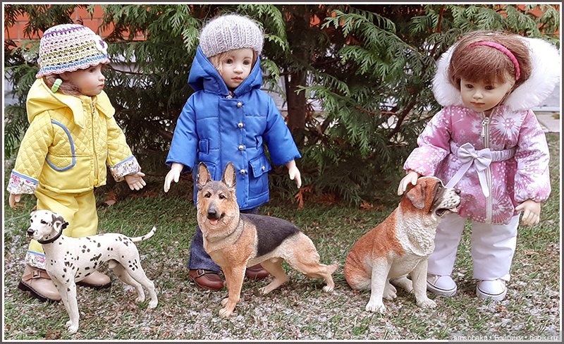 Мой Юбилей 12 лет! Выставка собак "Евразия 2023"