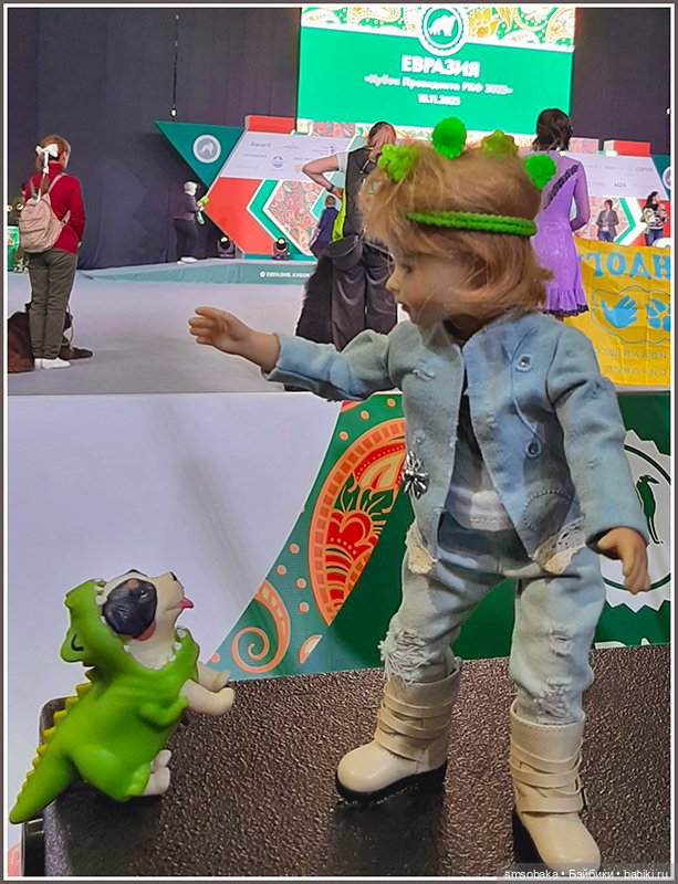 Мой Юбилей 12 лет! Выставка собак "Евразия 2023"