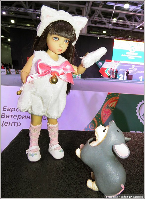 Мой Юбилей 12 лет! Выставка собак "Евразия 2023"