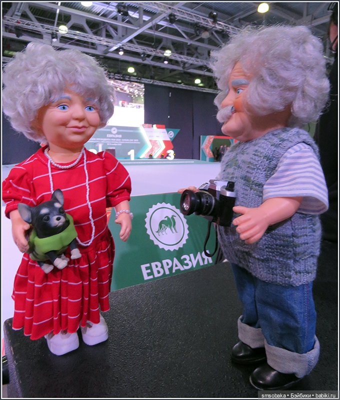 Мой Юбилей 12 лет! Выставка собак "Евразия 2023" (фото 8)