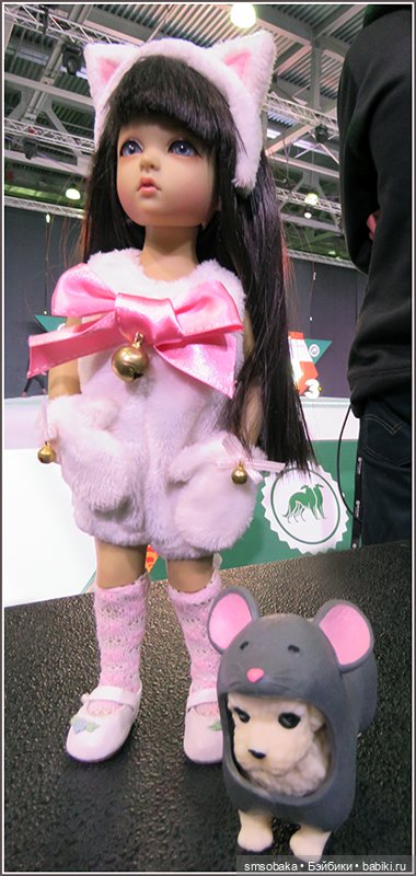 Мой Юбилей 12 лет! Выставка собак "Евразия 2023"