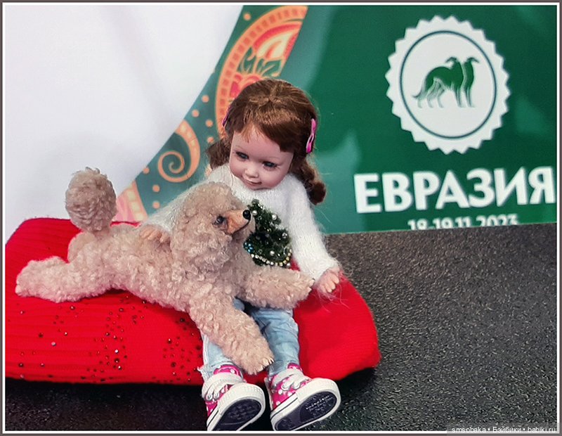 Мой Юбилей 12 лет! Выставка собак "Евразия 2023"