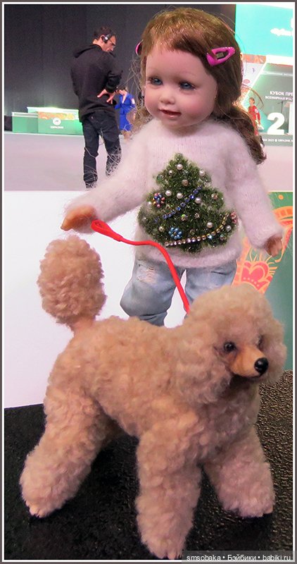 Мой Юбилей 12 лет! Выставка собак "Евразия 2023"