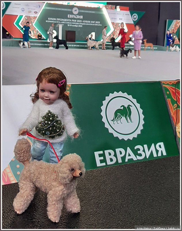 Мой Юбилей 12 лет! Выставка собак "Евразия 2023"