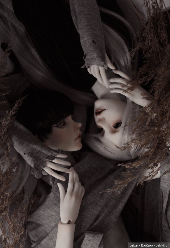 🌾𝓛𝓲𝓴𝓪𝔂 & 𝓔𝓶𝓲𝓵𝓮𝓽🌾 — Куклы Dollzone (Доллзон): BJD (БЖД)