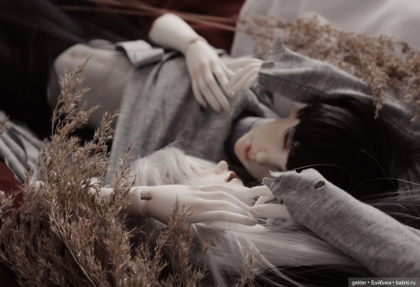 🌾𝓛𝓲𝓴𝓪𝔂 & 𝓔𝓶𝓲𝓵𝓮𝓽🌾 — Куклы Dollzone (Доллзон): BJD (БЖД) (фото 6)